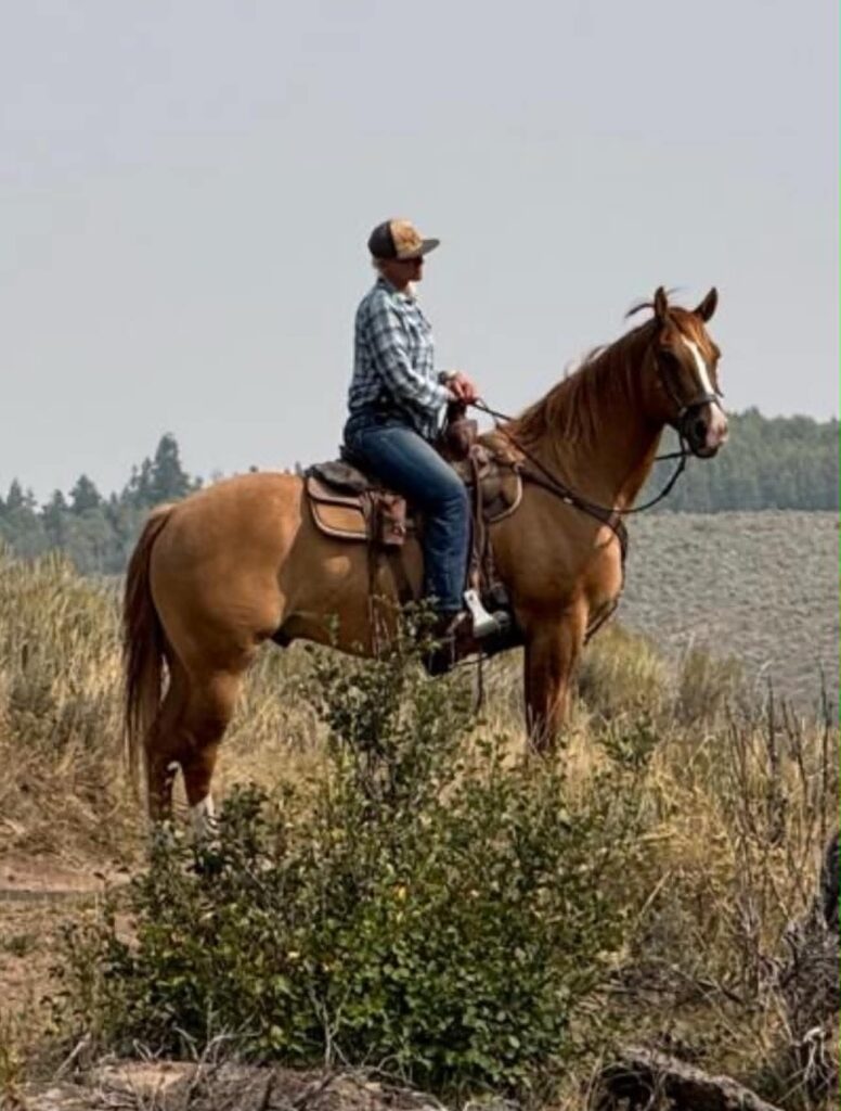 Dea Larsen rider på en hest i et åbent naturområde. Natur, eventyr og kærligheden til livet under åben himmel har altid været en vigtig del af hendes liv.